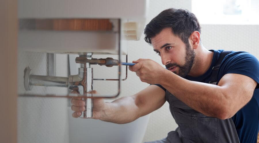 Trap Repair/Replacement in Deer Park, NY